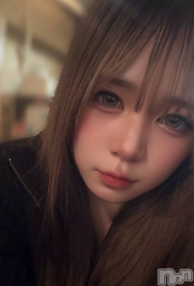 ȯѥ˥󥯥ֿ㥳 -㥳ѥ˥󥯥-(˥ -˥ѥ˥󥯥-) 2025ǯ1117̥֥✄﻿