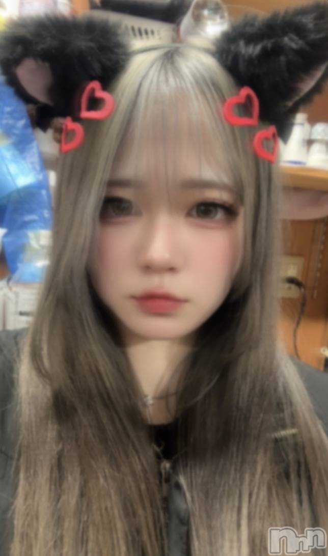 ����ȯ����ѥ˥��󥯥�ֿ��㥳��� -���㥳��ѥ˥��󥯥��-(�˥���������� -�˥���������ѥ˥��󥯥��-) ��2026ǯ2��27���̥�֥����֤��Τޤ���🐈‍⬛��