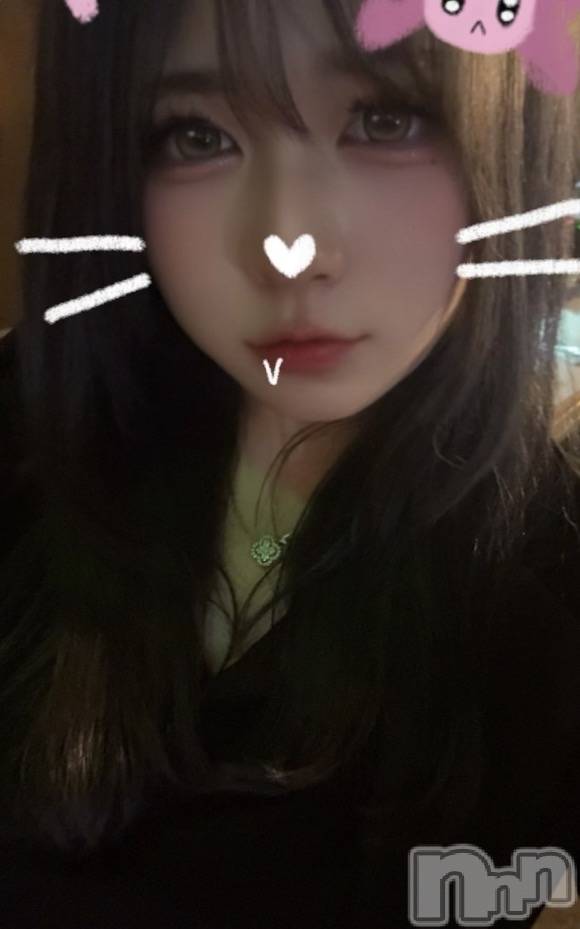 ����ȯ����ѥ˥��󥯥�ֿ��㥳��� -���㥳��ѥ˥��󥯥��-(�˥���������� -�˥���������ѥ˥��󥯥��-) ��2026ǯ4��13���̥�֥����֤褫�褭�Τ褭��