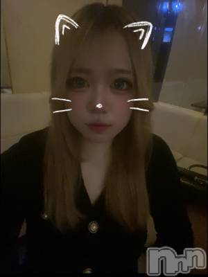 ȯѥ˥󥯥ֿ㥳 -㥳ѥ˥󥯥-(˥ -˥ѥ˥󥯥-) ҤʤҤ828̥֥֤Ҥ