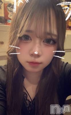 ȯѥ˥󥯥ֿ㥳 -㥳ѥ˥󥯥-(˥ -˥ѥ˥󥯥-) Ҥʤ118̥֥֡Ρ