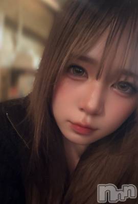 ȯѥ˥󥯥ֿ㥳 -㥳ѥ˥󥯥-(˥ -˥ѥ˥󥯥-) Ҥʤ1117̥֥✄﻿