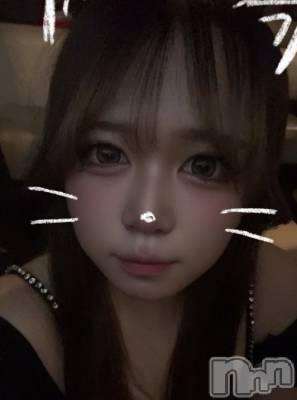 ����ȯ����ѥ˥��󥯥�ֿ��㥳��� -���㥳��ѥ˥��󥯥��-(�˥���������� -�˥���������ѥ˥��󥯥��-) �Ҥʤ���12��2���̥�֥����֤��Ҥ�����