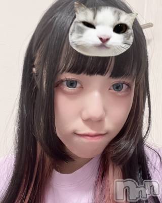 ʥå륺СROYAL ONE() ߤ(21)223̥֥֤ͤΤҥ٥3^>𐋣<^