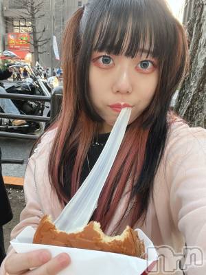 ʥå륺СROYAL ONE() ߤ(21)31̥֥10ߥѥ🍞