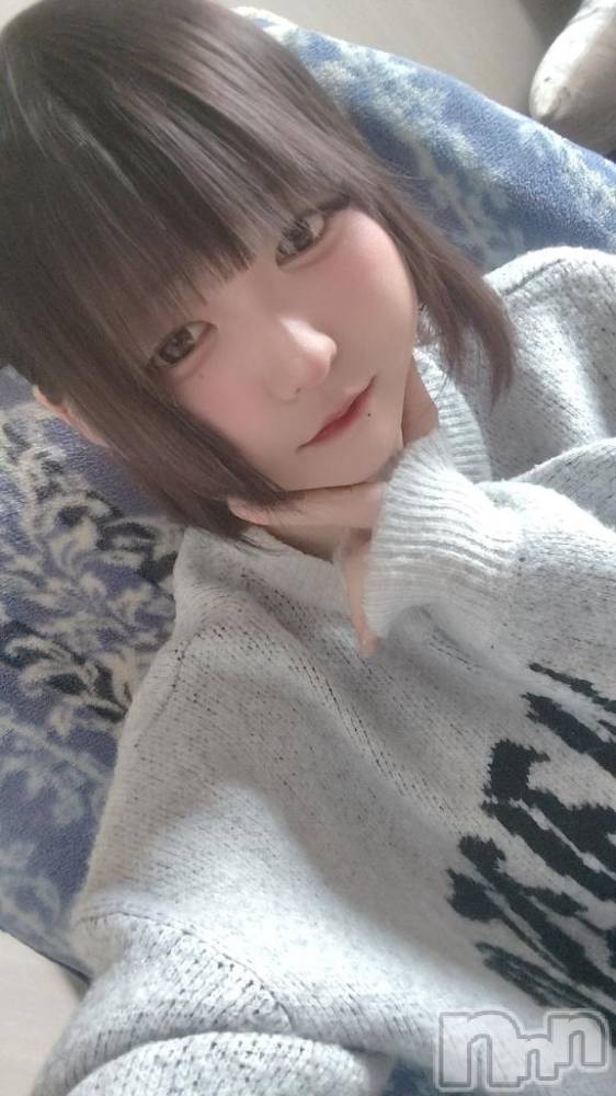 新潟デリヘル奥様特急 新潟店(オクサマトッキュウニイガタテン) せいら(19)の2月25日写メブログ「こんばんは🌛」
