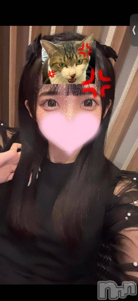 長岡デリヘルROOKIE(ルーキー) いつき(20)の3月1日写メブログ「🩵本日最終日🩵」