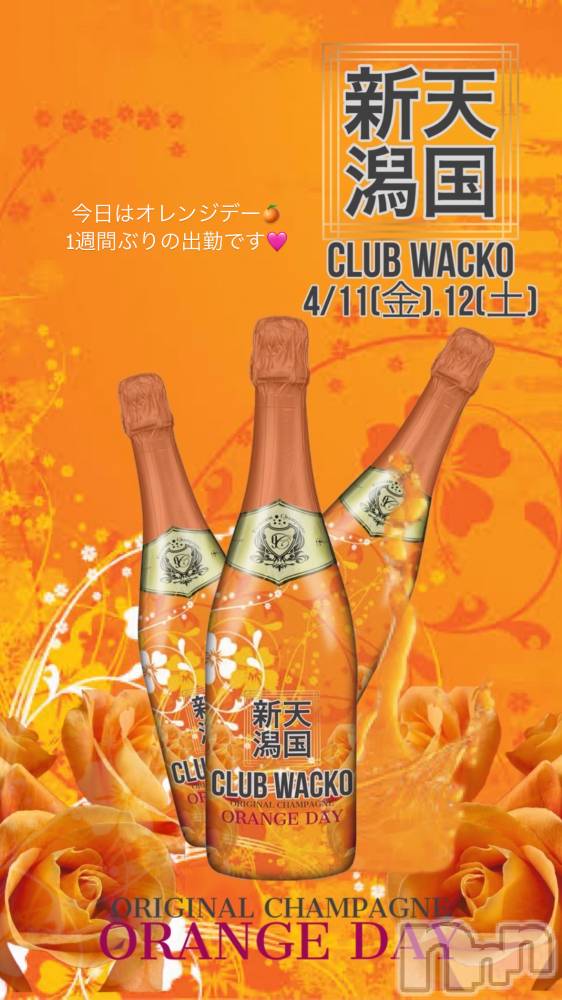 Х顦CLUB WACKO(֥拾) ߤ줤411̥֥֥󥸥ǡ🍊