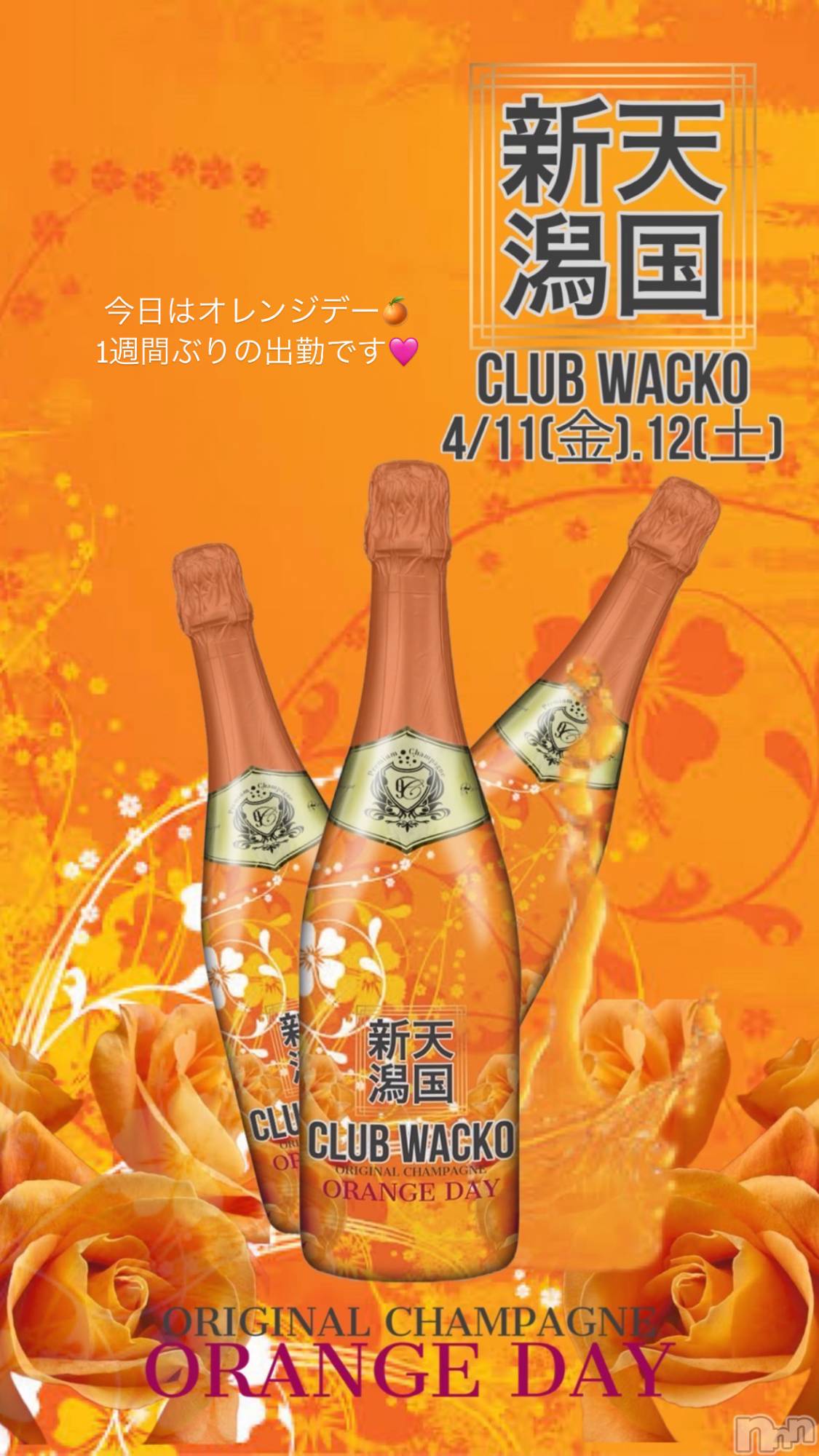 Х顦CLUB WACKO(֥拾) 2025ǯ411̥֥֥󥸥ǡ🍊