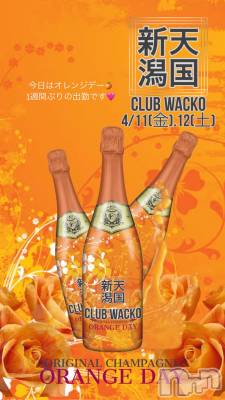 Х顦CLUB WACKO(֥拾) ߤ줤(20)411̥֥֥󥸥ǡ🍊