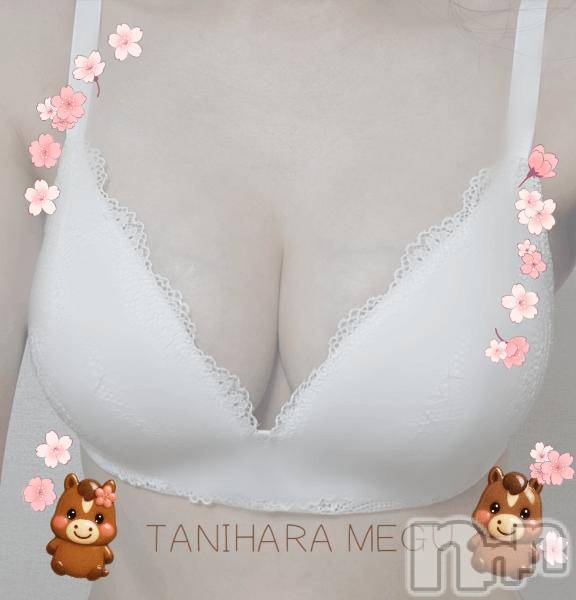 長岡デリヘルBIANCA～主人の知らない私～長岡店(ビアンカナガオカテン) 谷原　めぐ(32)の1月2日写メブログ「🌙」