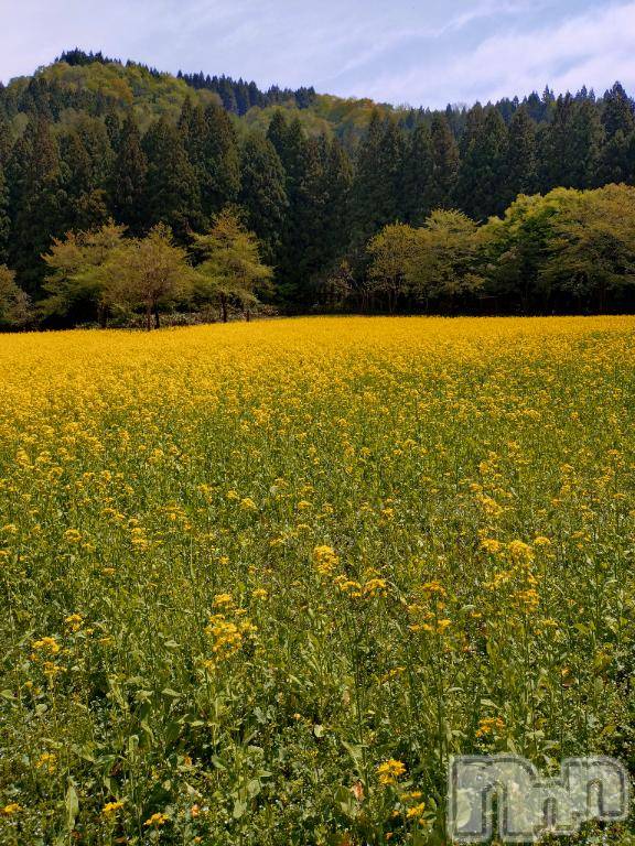 長岡デリヘルBIANCA～主人の知らない私～長岡店(ビアンカナガオカテン)谷原　めぐ(32)の2026年4月28日写メブログ「リフレッシュ🩷」
