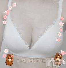 長岡デリヘルBIANCA～主人の知らない私～長岡店(ビアンカナガオカテン) 谷原　めぐ(32)の1月2日写メブログ「🌙」