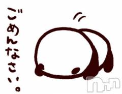 長岡デリヘルBIANCA～主人の知らない私～長岡店(ビアンカナガオカテン) 谷原　めぐ(32)の2月13日写メブログ「申し訳ありません😢」