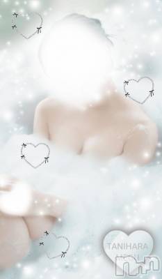 長岡デリヘル BIANCA～主人の知らない私～長岡店(ビアンカナガオカテン) 谷原　めぐ(32)の11月2日写メブログ「憧れの🔔✨️」