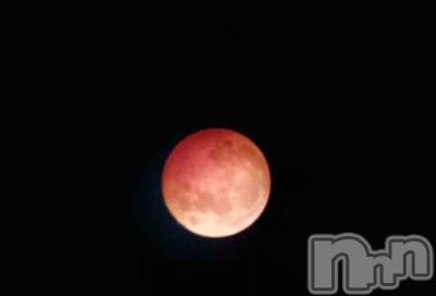 長岡デリヘル BIANCA～主人の知らない私～長岡店(ビアンカナガオカテン) 谷原　めぐ(32)の3月4日写メブログ「🌙」