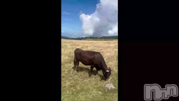 �ֽդϤ��Ĥ��ʡ�