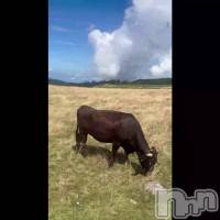 �դϤ��Ĥ���