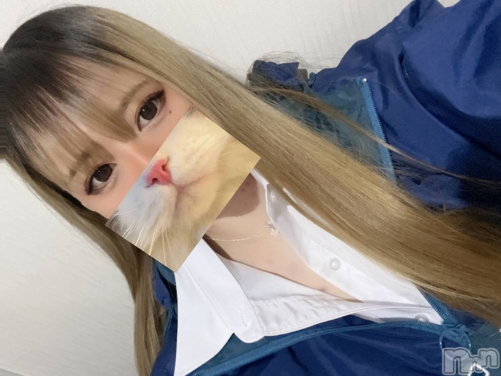 ʥå륺СROYAL ONE() ʤ228̥֥🌙