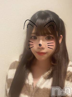 ˤ륹ʥå륺СGirls Bar Philia(륺Сեꥢ)פΥ㥹ȡ֤꤫פξҲ