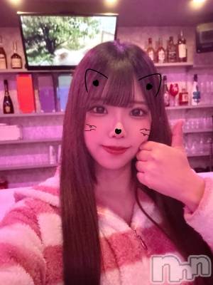ʥå륺СGirls Bar Philia(륺Сեꥢ) ꤫227̥֥֤🎶