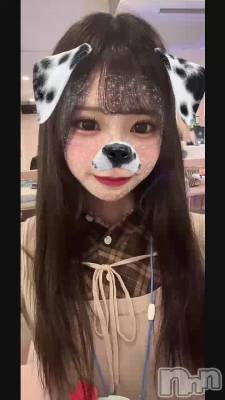 2��15�� 02��49ʬ�Υ֥���