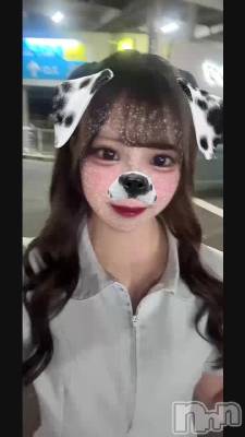 ̤Ǥ🐶🐾