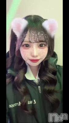 �ˤ㤪������🙀