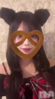 �ͤ�����🐈