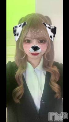 🐶