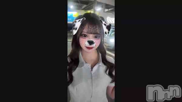 ֤̤Ǥ&#x1F436;&#x1F43E;