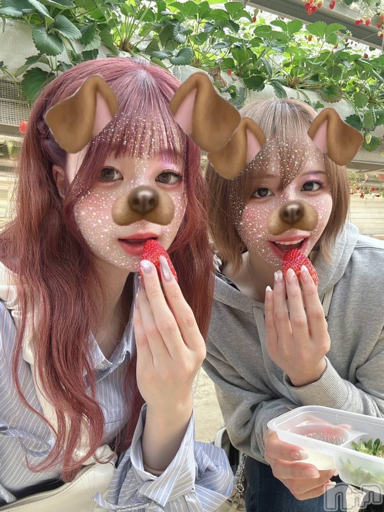 ܱХ顦Club (֥ʥǥ) ߤ325̥֥֤🍓