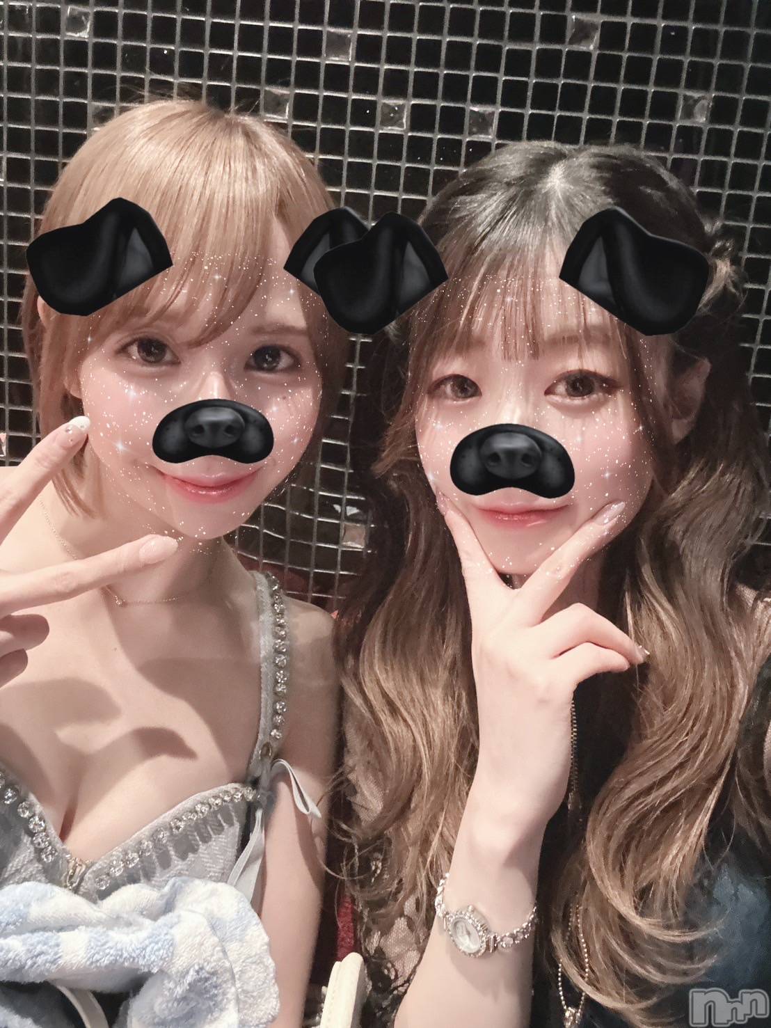 ܱХ顦Club (֥ʥǥ) 2025ǯ319̥֥🐶🐾