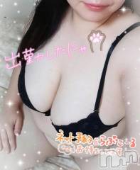 新潟デリヘル新潟市鳥屋野潟ちゃんこ(ニイガタシトヤノガタチャンコ) しず(34)の9月19日写メブログ「出勤⭐️」