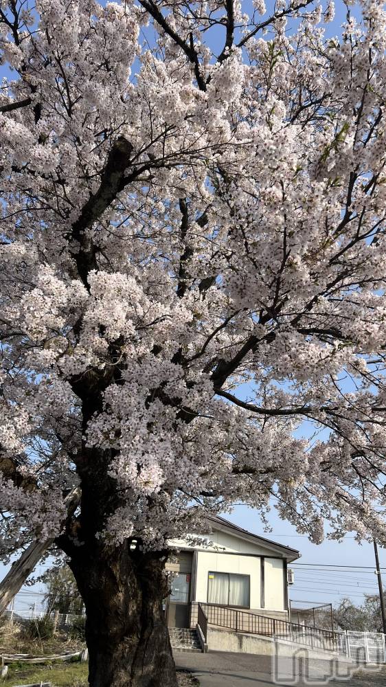 ȯĥХ顦CLUB  F.ROZEN(֥ե) 421̥֥🌸ՏᗩKᑌᖇᗩ🌸