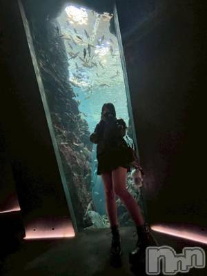 新潟デリヘル Minx(ミンクス) 弥生【新人】(19)の11月26日写メブログ「癒しチャージしよっ💖」