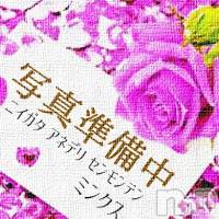 弥生【体験】