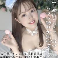 ひな