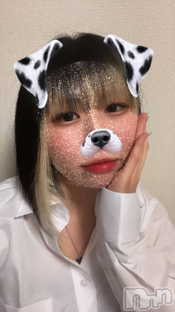 ʥå륺СROYAL ONE() 椢226ֳ̥֥ڤ1֤ͤâ