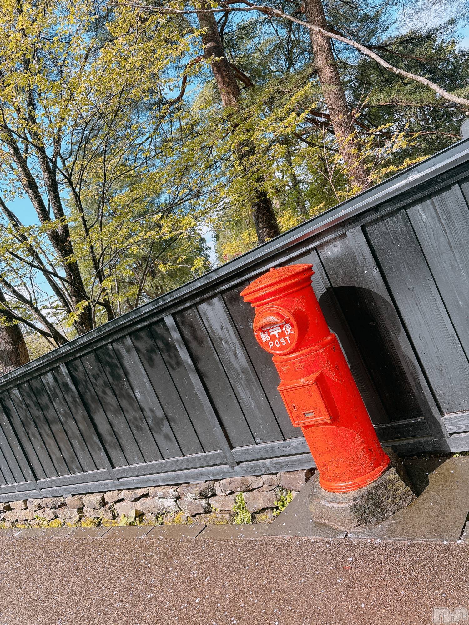 ʥå륺СROYAL ONE() 2025ǯ57̥֥֤(ง  )ว