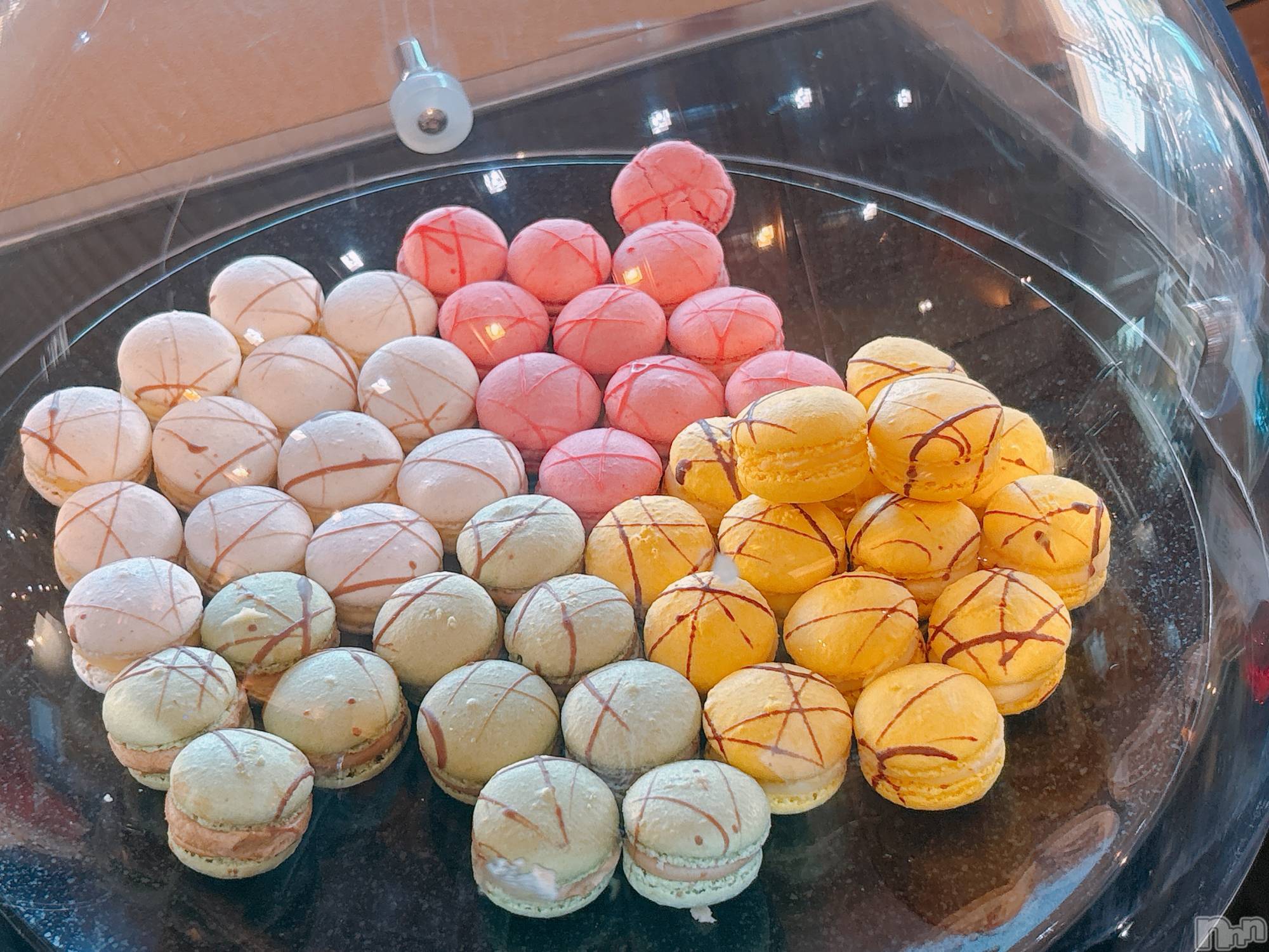 ����������ʥå��������륺�С�ROYAL ONE(���������) ��2026ǯ3��2���̥�֥����֥ޥ�����🤤��