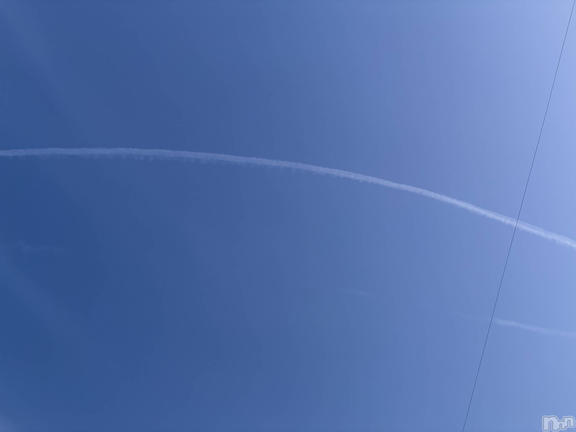 ����������ʥå��������륺�С�ROYAL ONE(���������) ��2026ǯ4��15���̥�֥����֤Ҥ���������☁️��