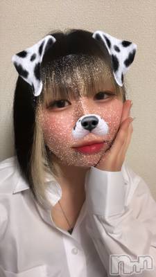 ʥå륺СROYAL ONE() 椢(24)226ֳ̥֥ڤ1֤ͤâ