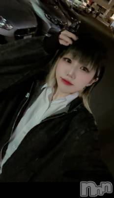 ʥå륺СROYAL ONE() 椢(24)510̥֥֤Ϥ🤌