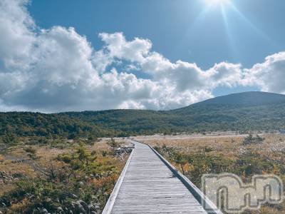 ʥå륺СROYAL ONE() 椢(24)930ֺ̥֥,,,