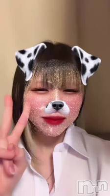 жФޤ