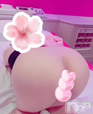 新潟デリヘル 新潟人妻　2nd Wife(セカンドワイフ) ことこ奥様(50)の12月15日写メブログ「13時頃より空いていますm(._.)m」