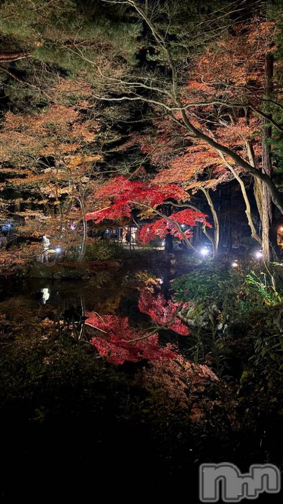 長岡デリヘル純・無垢(ジュンムク) うるり☆プラチナ(19)の11月24日写メブログ「あしたいます」