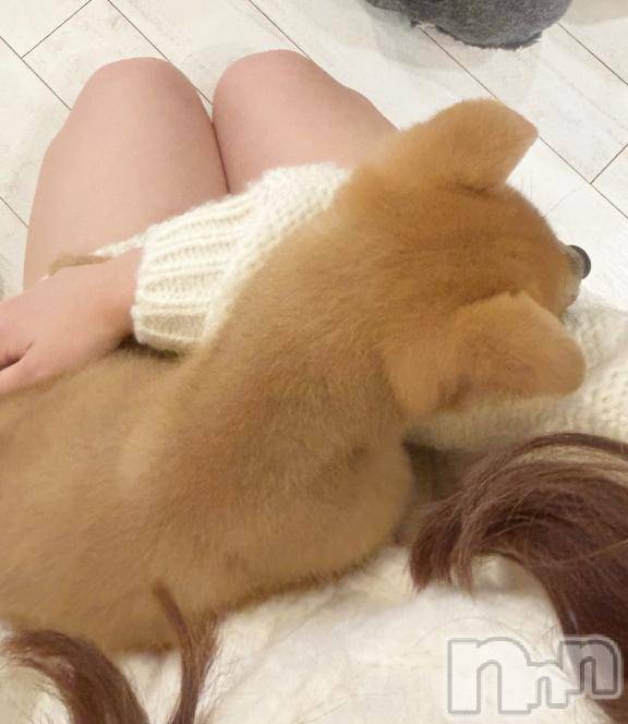 長岡デリヘル純・無垢(ジュンムク) うるり☆プラチナ(19)の11月30日写メブログ「𐔌՞･·･՞𐦯」