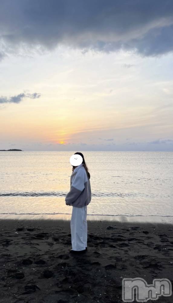 ܱХ顦֥ ץ ( ץ ޥĥ) դ椫317̥֥🌊